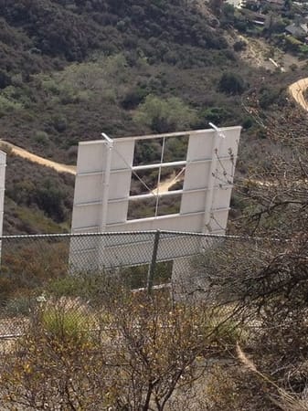 Peeling Open Los Angeles: photo 2