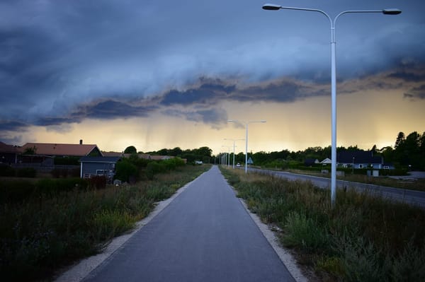Discover the beauty of Gotland: photo 6