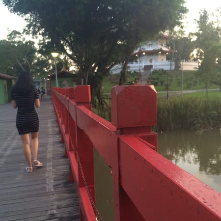 Singapore: Get Closer to Nature: photo 38