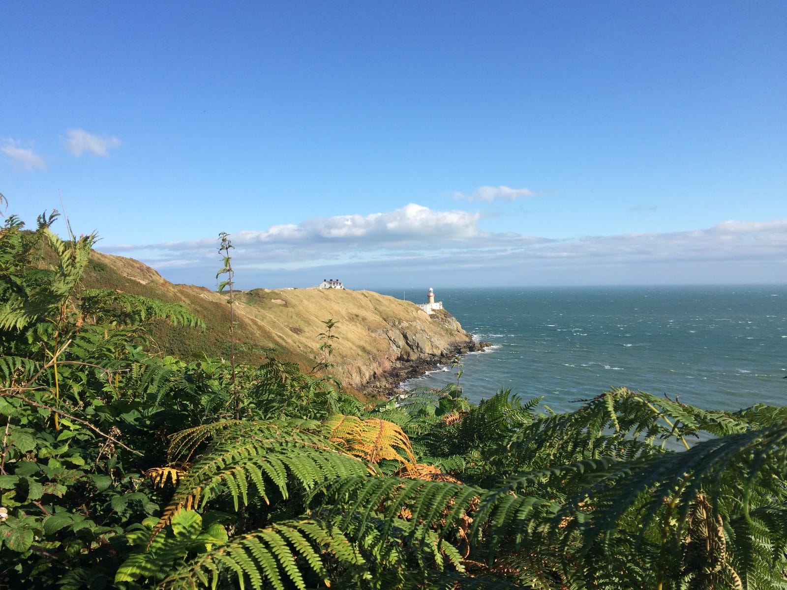Budget Travel Guide: 5 Free Things to Do in Dublin