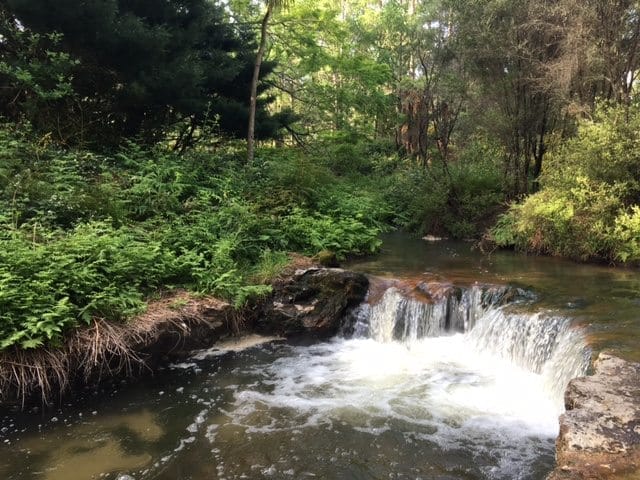 North Island New Zealand: Three Natural Free Hot Springs