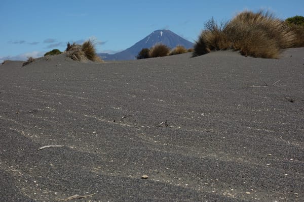 New Zealand's North Island: photo 17