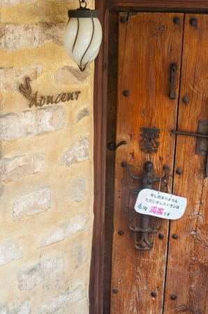 A Whimsical Experience in Hamamatsu, Japan: photo 13