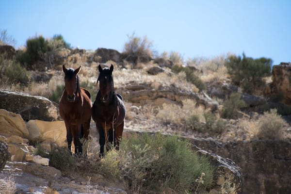 Supai, Arizona: Discovering America’s hidden oasis: photo 1