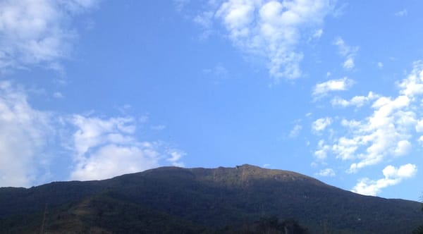 El Ávila Excursions: Sabas Nieves to La Silla de Caracas: photo 1