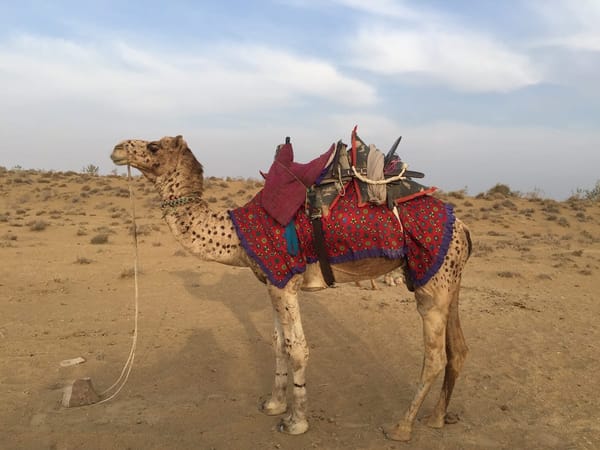 Adventures from Jaisalmer in Rajasthan India: photo 8
