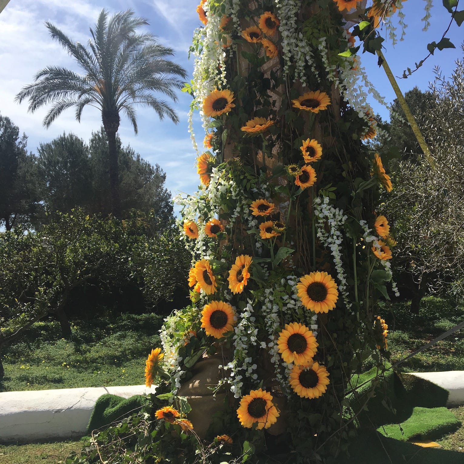 A Guide to Atzaro Spring Festival in Ibiza, Spain
