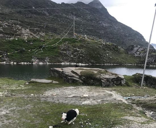 A wanderer’s guide on a Road Trip to Tawang: photo 11