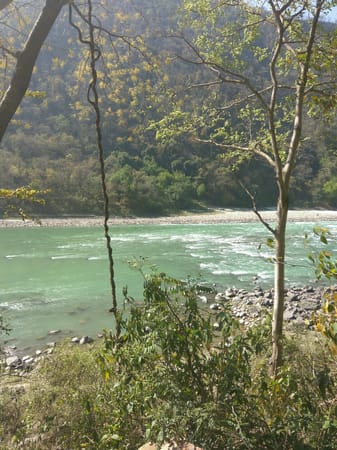 Rishikesh: Rafting on the Himalayan Foothills: photo 3