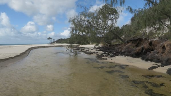Off the beaten path of Fraser Island: photo 4