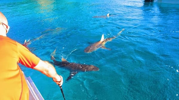 New Caledonia: Lost French Paradise: photo 7