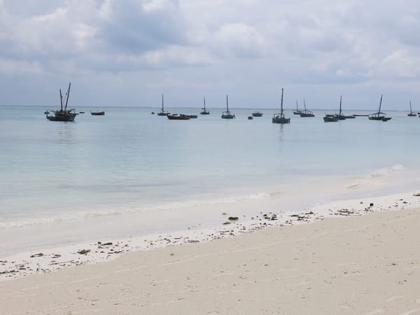 Zanzibar Travel Guide: photo 1