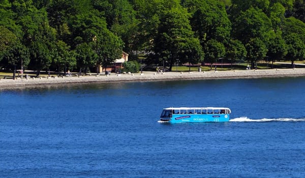 What to do in Stockholm: photo 4