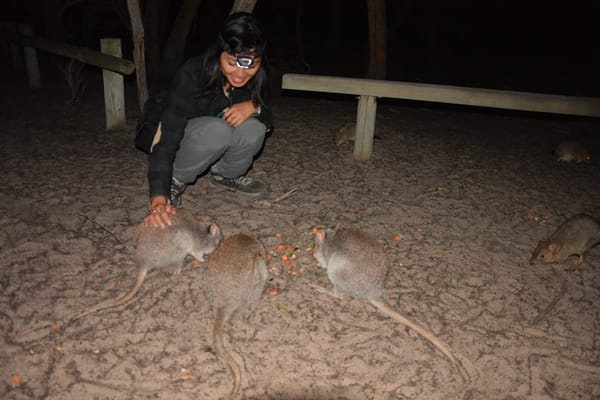 Camping the Grampians and Little Desert National Park: photo 10