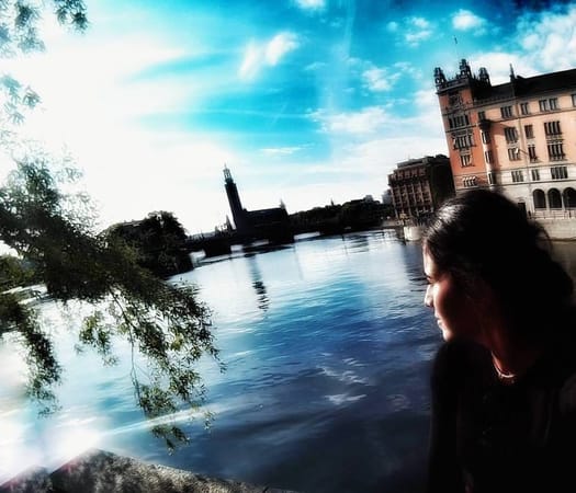 A Turkish Girl Lands in Sweden: photo 2