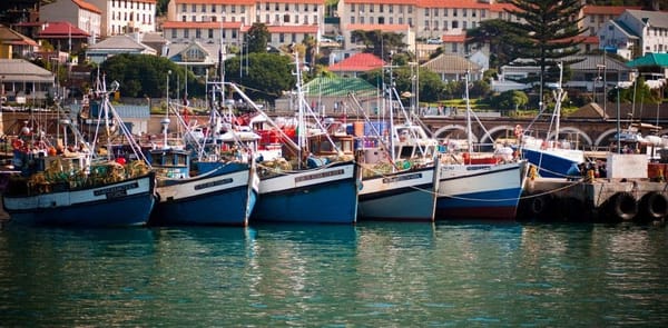 Experience the Coastal Towns of Cape Town, the Way Locals Do: photo 1