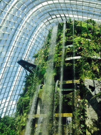 Singapore: 6 Popular Places to Visit in Singapore: photo 3