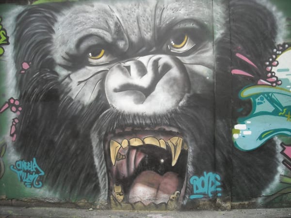 10 things to do in Bogotá, Colombia: photo 1