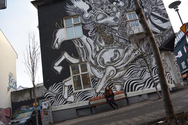 First impressions when coming to Iceland: photo 5