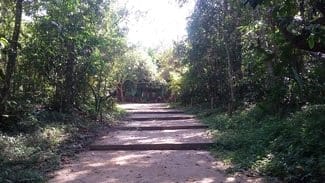 Manaus part 01: Finding green areas: photo 1