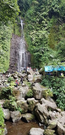 One-day trip to Bogor: Temples, Waterfalls and More!: photo 4