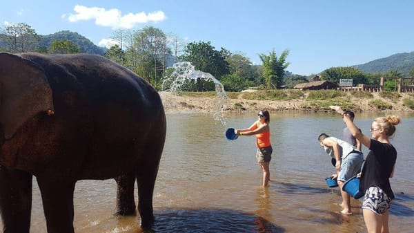 First time in Thailand, 2016/2017: photo 5