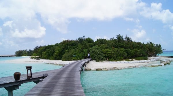 Maldives: trip to Male and Bodu Hithi: photo 3