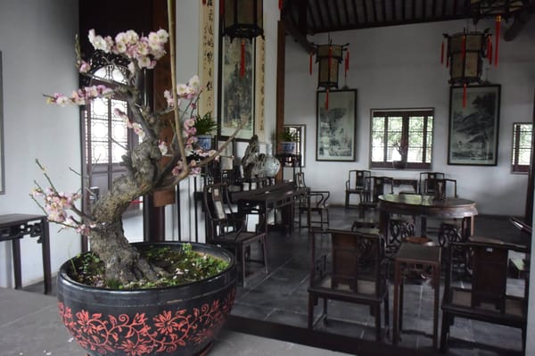 What to see and do in Mainland China: photo 12