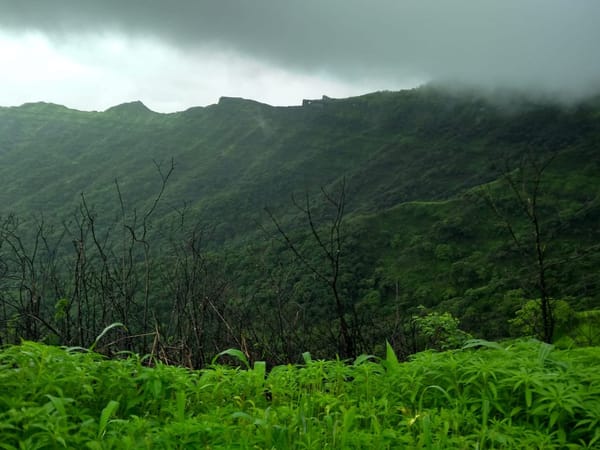 Top 5 One day treks of Pune in India: photo 2