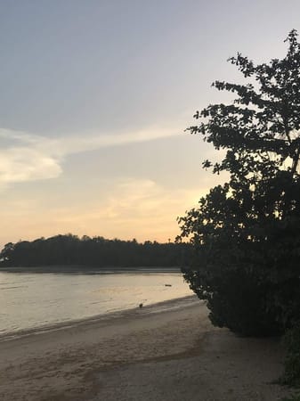 Krabi: The Vacation Paradise: photo 21