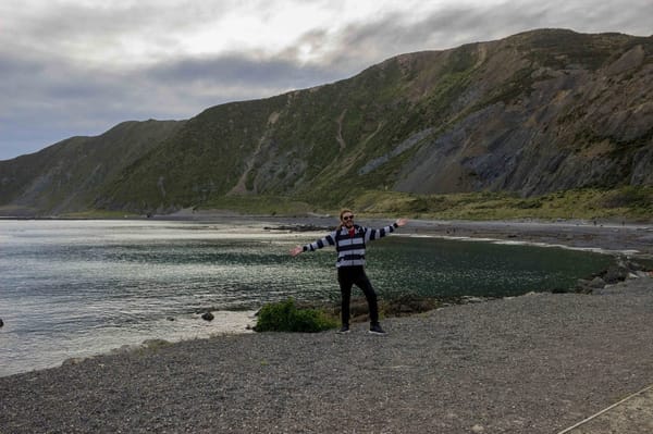 Wellington, New Zealand. Things to do that are free: photo 8