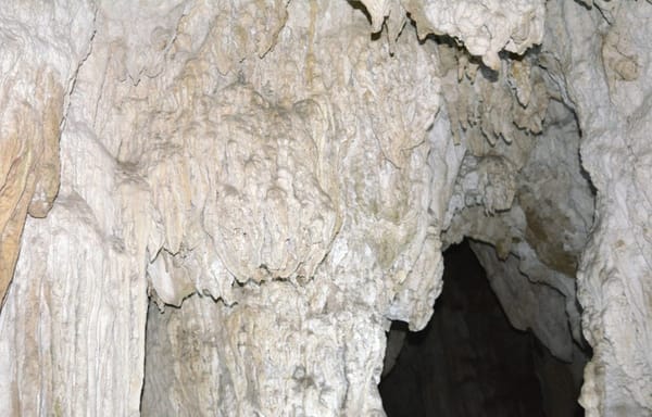 Andaman and Nicobar: perfect holiday spot.: photo 6