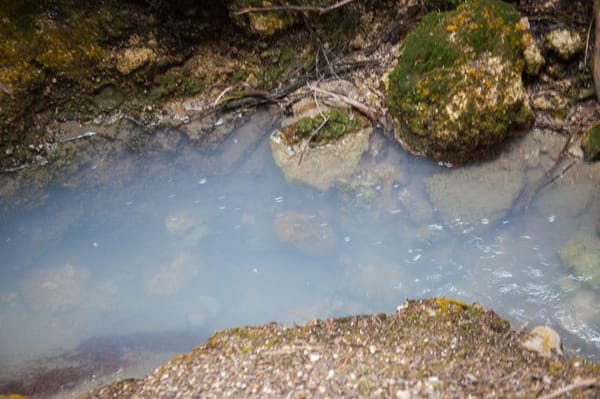 Wai-O-Tapu: the best volcanic park in New Zealand: photo 7