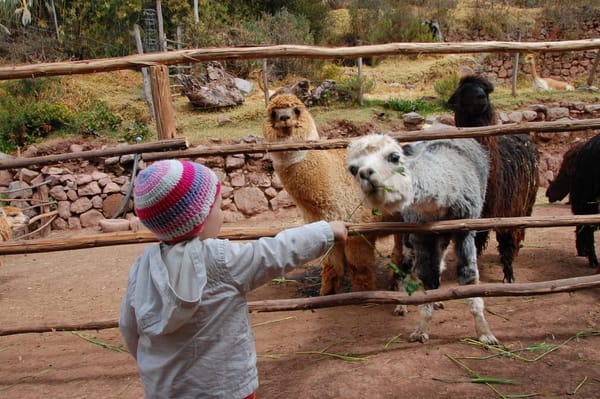 Machu Picchu with a toddler: photo 3