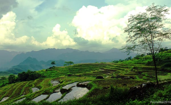Pu Luong Retreat – A true off-the-beaten-path experience in Vietnam: photo 4