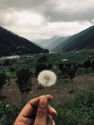 A wanderer’s guide on a Road Trip to Tawang: photo 19