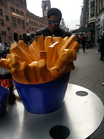 A Traveler’s Guide To Amsterdam: photo 16