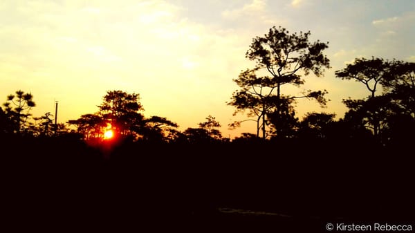 Off the Beaten Track in Thailand: Phu Kradeung National Park: photo 4