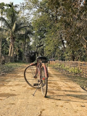 The Ultimate Guide to travel to Majuli, a river island in Assam: photo 4