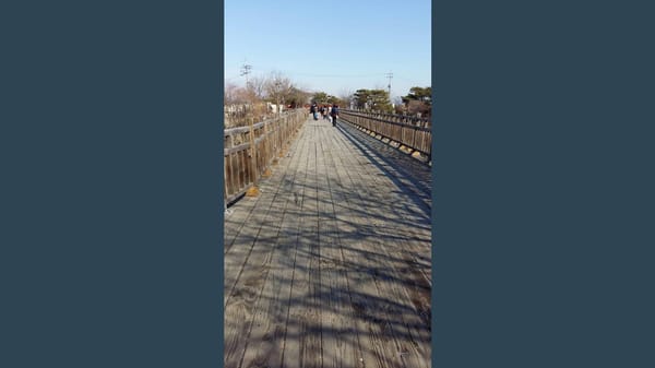 Korea: visting the demilitarized zone: photo 16