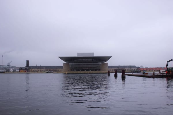 A Solo Trip to Copenhagen: photo 4