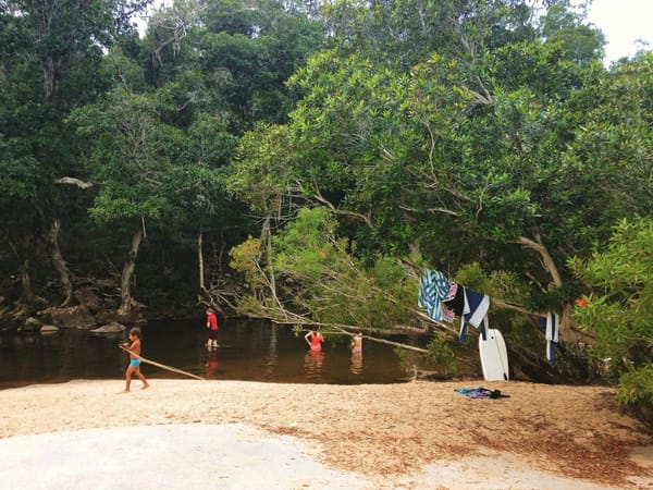 Bingil Bay - Australia’s hidden tropical paradise: photo 19