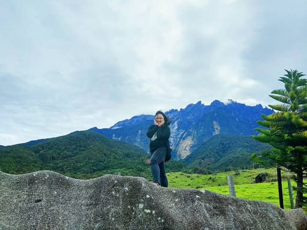 The Mini New Zealand of Malaysia: Desa Cattle Dairy Farm: photo 5