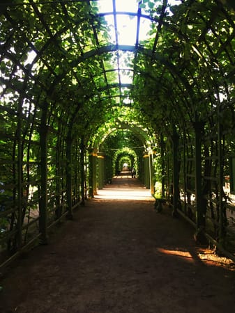 A Summer Guide to St. Petersburg: photo 5