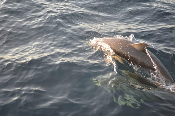 Basque Country to Galicia: my first travel in a sailing boat: photo 2