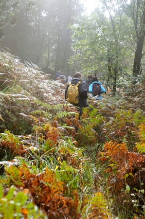 Rudnik - Mountain hidden in the mist: photo 5