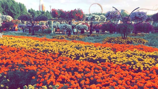 Best places to visit in Dubai on a budget.: photo 3