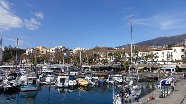 Madeira Island: 3 Things You Must See And Do When In Madeira: photo 2