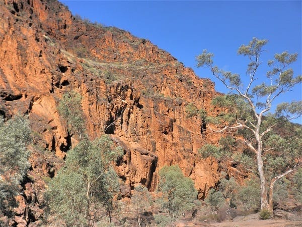 Flinders Ranges: Ancient earth and fascinating wildlife: photo 4