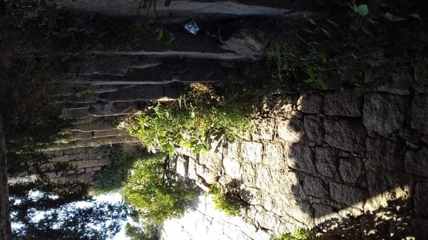 Bhongir : a forgotten ruin: photo 1